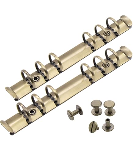 Amazon | 磁気3リングバインダーメカニズム – 100カウント 1